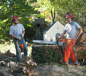 Tree removal, climbers, tree care, trimming, insured. Free Estimates