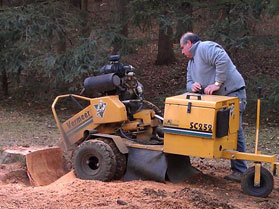 Summit Construction tree care services and tree removal.