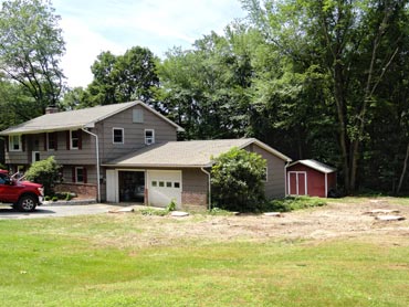 large trees takedown, multiple trees, near house