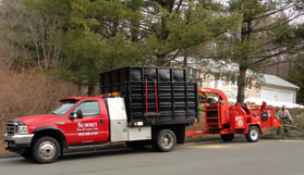 Summit Construction tree care services and tree removal.